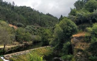 Mais de 200 milhões de euros para o Programa de Revitalização do Pinhal Interior