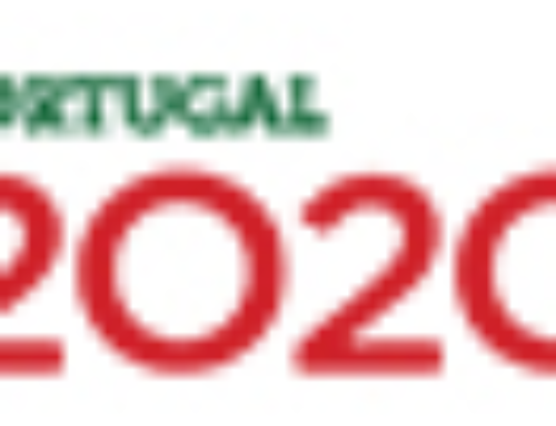 Painel Trimestral de Transportes – 4.º Trimestre de 2021/4.º Trimestre de 2020